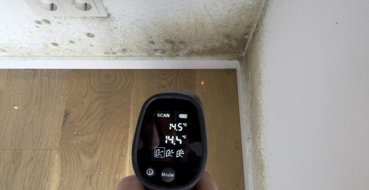 Så hanteras vattenskador från upptäckt till juridisk process